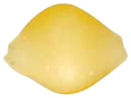 Shells 20mm, die 219