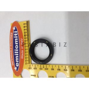 Oil Seal